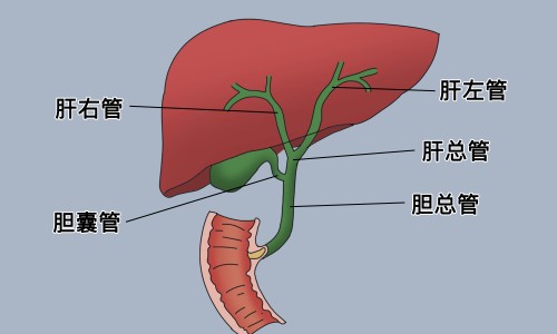 苏子粉作用网-分享苏子籽治什么病，苏子籽的作用知识库